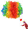 Regenbogen Clown Perücke, Afro Clown Perücke, Regenbogen Locken Perücke, Für Halloween, Weihnachten, Geburtstag, Karneval Herren & Damen Geeignet Als Ergänzung Für Das Clowns Kostüm.
