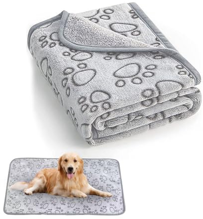 QUIIEOSKIA 1 Pcs 41x30 Dog Blankets, Washable Puppy Blankets | For Small Medium Dogs and Cats, Kitten Cat Blankets Pet Cover Blankets for Sofas, Beds, Car Seat Flannel Dog Throw Blankets