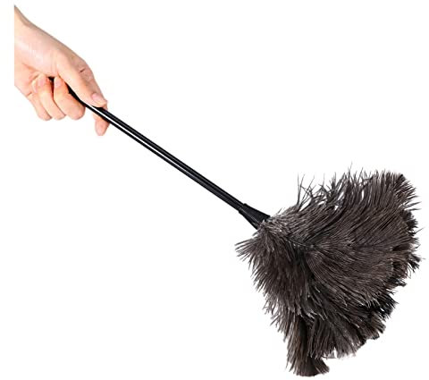 SFQEVHRZ Plumero， Plumero Negro con Mango Largo de plástico, Cepillo de Limpieza, Herramienta de Mango.