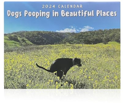 1 Stück Hundekot-Kalender 2024, Hunde Kacken an Schönen Orten Kalender 2024, Lustiger Hunde-Wandkalender, Passend Für Lustige Wandkunst, Humorvolle Streiche, Kreative Geschenke