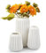 Lot de 3 Vases en Céramique Vases Décoratif,Mat Vases Esthétiques,Vases à Fleurs Vases Bohèmes Moderne Vase Design,Vase Déco Vases pour Fleurs Vase de Table pour Pampa Mariage Table à Manger Bureau