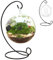 Terrarium végétal à air, avec des terrariums en Verre Transparent en Fer Noir pour Les Plantes, Suspendue à Un Bricolage de Bricolage de Bricolage