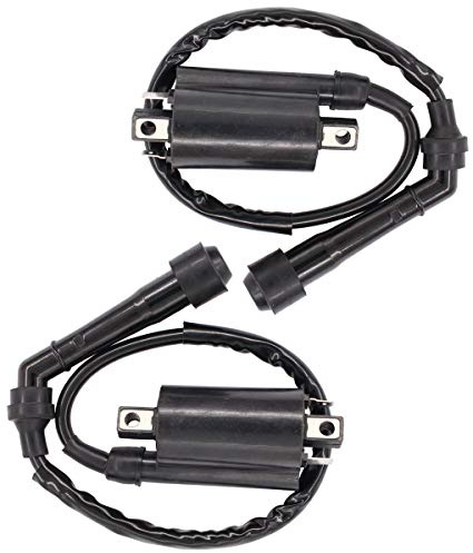 MOTOKU Zündspule für VS800 VL800 Intruder Volusia 800, 2 Stück | Boulevard S50, VZ800 Marauder, TL1000R, TL1000S