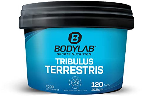 Bodylab24 Tribulus terrestris 120 Tabletten | 2000mg Pflanzenextrakt je Tagesdosis | Tribulus terrestris Extrakt hochdosiert