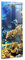 Wallfluent Gehärtetes Glas Dicke 4mm Für die Küche Badezimmer und Schlafzimmer Glasbild 50x125cm Wanddekoration Wandbild Bild Mit Motiv - Foto von Fischen an einem Korallenriff