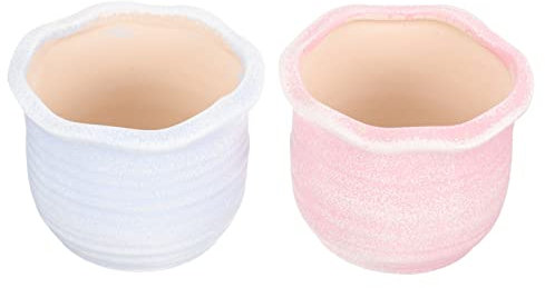 HEMOTON 2 Pezzi Vaso da Fiori in Ceramica Arredamento Casa Vaso di Fiori Indoor Contenitore per Fioriera per Piante Grasse Piccole Pentole Succulenti Fioriera in Porcellana Ceramica