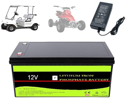 12V Lithium Iron Phosphate Battery 100Ah 200Ah 300Ah 400Ah Deep Cycle with 100A BMS for Trolling Motor, Solar Panels, RV, Boat, Golf Cart, Off-Grid Applications