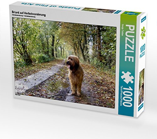CALVENDO Puzzle Briard auf Herbstwanderung | 1000 Teile Lege-Größe 64 x 48 cm Foto-Puzzle für glückliche Stunden