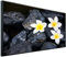 Ecowelle Infrarotheizung mit Bild | 1200 Watt | 60x120 cm | Infrarot Heizung| | Made in Germany| a 27 Frangipani mit Steinen