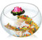 Petit aquarium, aquarium de départ, Réservoir rond for poissons rouges, réservoir rond en verre, créatif et écologique, grand réservoir for tortues, réservoir hydroponique, vase, aquarium(30CM)