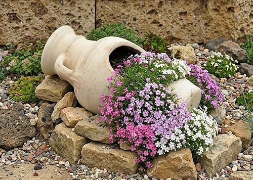 Liege-Amphore Pflanzgefäß Windlicht Terracotta Tunesische Handarbeit 40cm oder 50cm hoch (40 cm)