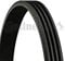 CONTITECH 4PK750 Keilrippenriemen Rippenriemen 750mm 0,059kg