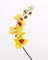 artplants.de Rametto d'orchidea phalaenopsis Artificiale, Naturale al Tatto, Giallo-Fucsia, 90cm - Orchidea Finta/Fiore Artificiale