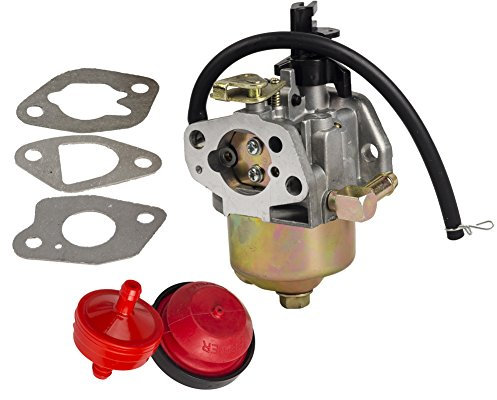 OxoxO Vergaser mit Primerbirne & Kraftstofffilter & Kraftstoffleitung & 3 Dichtungen für HUAYI 165S 165SA 170S 170SA Schneefräse