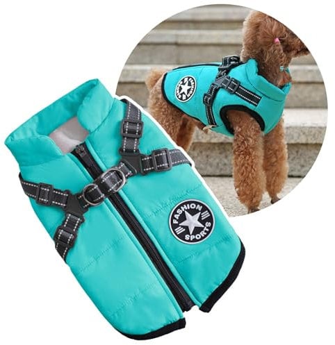 Hundejacke mit Geschirr für kleine Hunde, Hunde-Sportweste für draußen, warmer Haustierwintermantel für Katzen, Welpen, kleine Hunde, Aquamarin