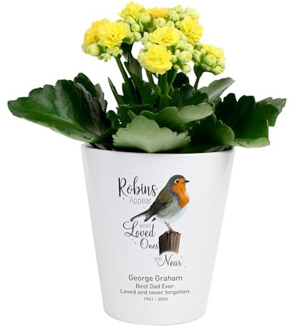The Gift Experience | Personalised Robins Appear When Loved Ones Are Near Plant Pot | Outdoor and Indoor Robin Planter | Memorial Plant Pot Robin Grave Ornaments, Multicolor