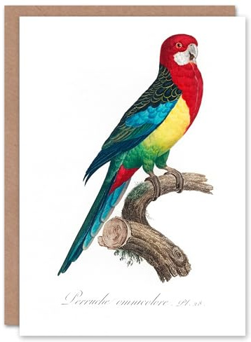 Artery8 Francois Levaillant Art Card The Eastern Rosella Parrot