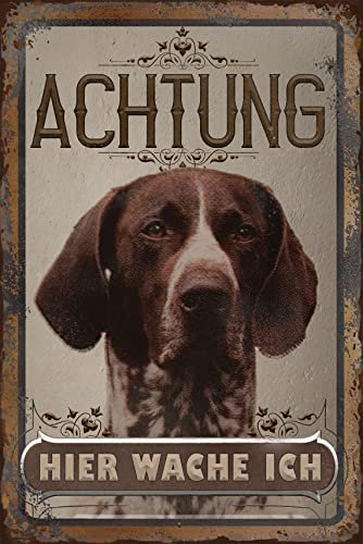 30 x 20 cm wetterfestes Blechschild, Warnhinweis, Torschild, Achtung, hier Wache ich! Warnung vor dem Hund (Deutsch Kurzhaar)