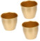 STOBAZA 3stücke Metal Flower Pot Goldene Eisenblumentöpfe Für Sukkulenten Indoor Pflanzgefäß Design Für Wohnräume Tisch Und Fensterbankdekoration