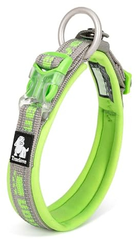 WINHYEPET True Love reflektierendes Hundehalsband, Nylon-Gurtband, bequem und sicher, verstellbare Schnalle, bequem zum Spazierengehen für kleine Hunde, Halsring TLC50121 (grau/grasgrün, L)