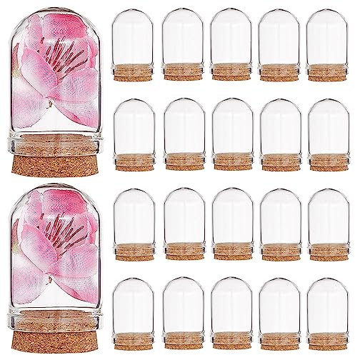 CRASPIRE 20 pz Cupola in Vetro Cloche Campana da 1.43 Pollici Bottiglie Mini Espositore Coperchio con Base in Sughero Trasparente Vetrina Decorativa da Tavolo per Fiori Secchi Matrimonio Natale
