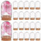 craspire 20 Stück Glasglocke, 1.43,(1) cm, Glasglocke, Flaschen, Mini-Ausstellungsständer, Abdeckung Mit Korkboden, Transparent, Dekorative Tischvitrine Für Getrocknete Blumen, Hochzeit, Weihnachten