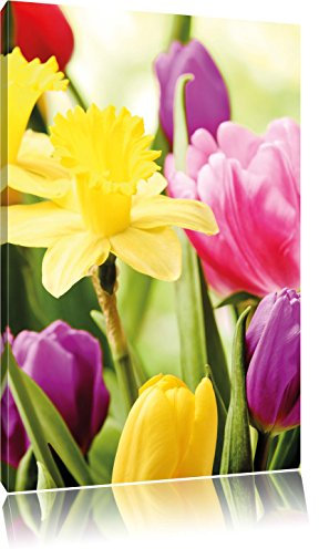 Pixxprint Osterglocken und Tulpen als, Größe: 80x60cm, Leinwandbild, fertig gespannt, Wandbild, Dekoration, Kunstdruck, kein Poster