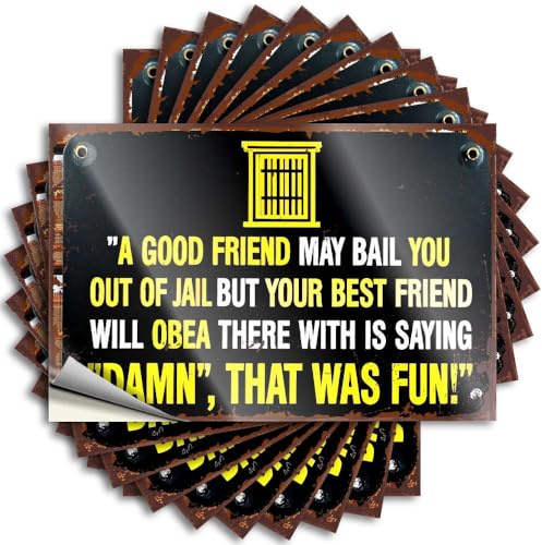 Lustige Autoaufkleber mit Aufschrift A Good Friend May Bail You Out of Jail, But Your Best Friend Will Obey, 10 Stück Aufkleber für Mädchen, 12 x 18 cm