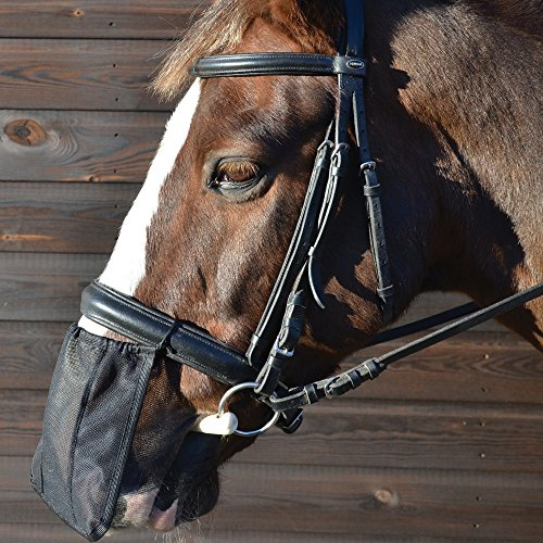 Nose Net / Shield / Cover - Black - Pony/Cob/Full