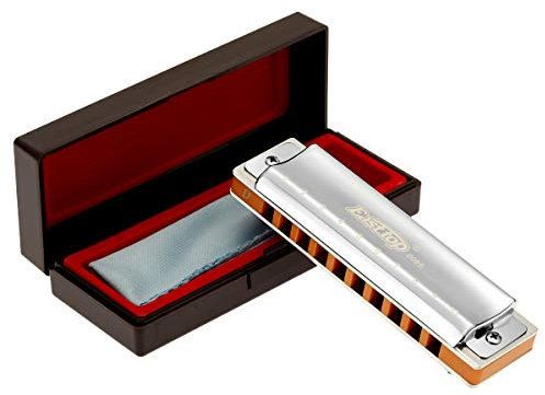 East Top 10 Löcher Professionelle diatonische Blues Mundharmonika Tonart D mit silberner Abdeckung, Probgrade Mundharmonikas für Erwachsene, professionelle Spieler und Studenten