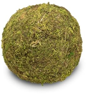 NaDeco Moos-Ball mit Durchmessern von 8, 10, 15, und 20cm zur Auswahl | Moos-Kugel | Moosball | Mooskugel | Deko-Moos | Moos-Deko | Asia-Moos-Ball | Kokedama, Größe:Ø 15 cm
