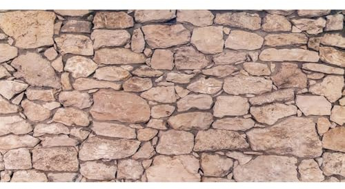 Renaiss 10x5ft Retro Rustic Stone Wall Backdrop Countryside Stone Brick Vinyl Photography Background Birthday Party Wedding Decorations Kids Adults Portraits Shooting Studio Props