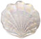 NOPEILVI Muschel Obst Schale Hülle Obstplatte Glasplatte1PC Schöne Muschelformhandschale Glasschale Muschelform Teller Obstteller schöner Muschelschale für Strandparty, Hochzeit, Foto -Stütze.