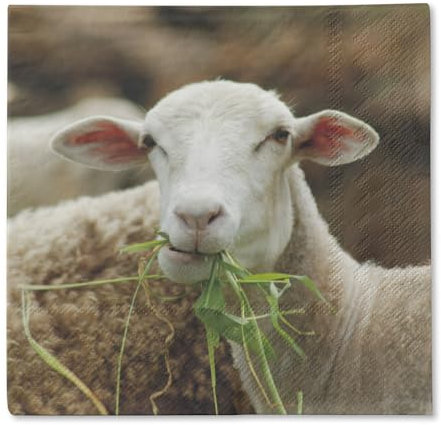 Traumduft 20 Stück Servietten 3-Lagig Schaf Lizzi 33x33 cm Dekor Papierservietten