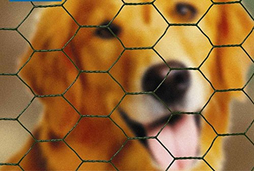 Apollo 10m 1000 x 50mm Wire Netting PVC coated Galvanised 57315