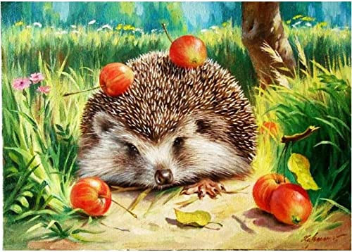 YEESAM ART Peinture par Numero, Hérisson Peinture Numero 40x50 cm Bricolage Acrylique Paint by Numbers