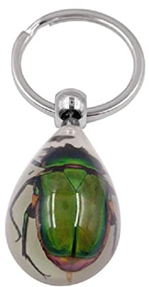 Maouira Mode Ambre Résine Porte-clés Réel Insecte Scorpion Scarabée Araignée Guêpe Fourmi Pendentif Porte-clés Cadeau pour Femmes Hommes Enfants Insecte Porte-clés résine Porte-clés Pendentif
