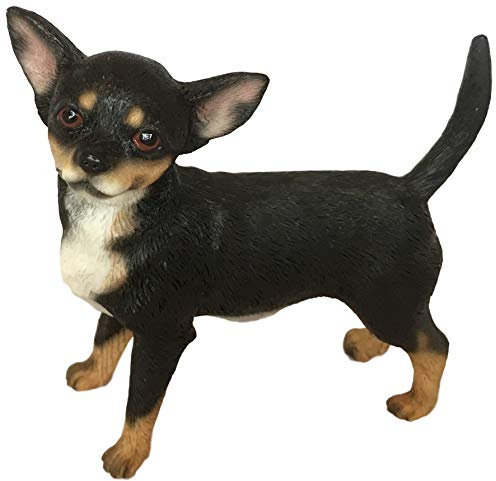The Leonardo Collection LP41668 Dekofigur Chihuahua, schwarz, Hellbraun und weiß, 11 x 6 x 11 cm