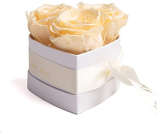 ROSEMARIE SCHULZ Heidelberg Infinity Rosen Rosenbox Herz - 10 x 12 cm 3 konservierte Creme Rosen haltbar 3 Jahre - Ich Liebe Dich Geschenke für Frauen Valentinstag (Beige, Small)