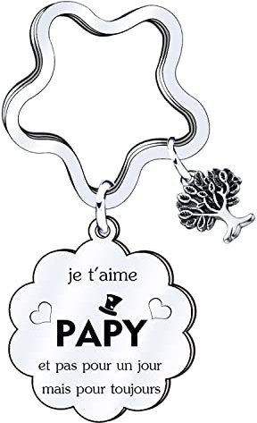 EAWEN - Porte-clés Papi je t'aime - cadeau papy accessoire homme - cadeau fête des grands pères et fête des pères -porte clefs personnalisable famille cadeau homme anniversaire Noël naissance Argenté