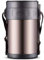 VIXPET Insulation Thermal Lunch Stainless Food Flasks For Hot Food Thermal Soup Flask, BPA Free Insulated Container For Lunch With 4 Separate Bowls Eat Your Food Hot,