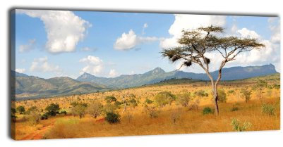 wandmotiv24 Leinwandbild Panorama Nr. 333 Savanne Kenia 100x40cm, Keilrahmenbild, Bild auf Leinwand, Afrika Grasland Sonne