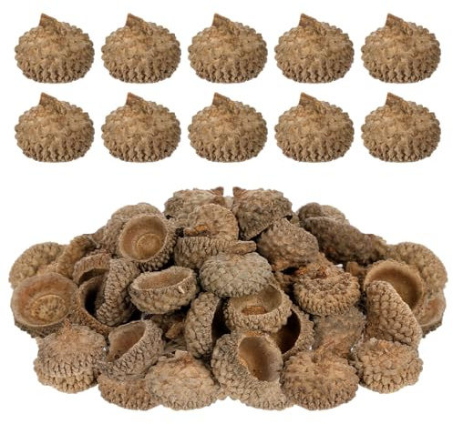 Gadpiparty 50 NatüRliche Eichelschalen Zum Basteln Eichelkappen Herbstdeko Trockenes Eichel-Ornament FüR Tischdeko Hochzeiten Partys Und Wohnaccessoires