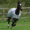 BUCAS Outdoor Pferdedecke Power Turnout Classic, silberfarbend, 155