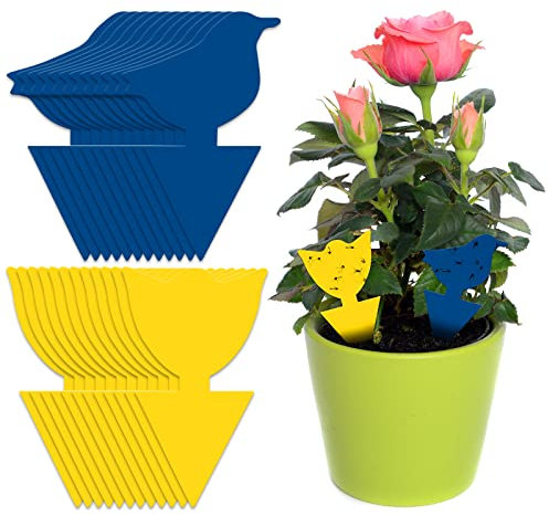 BBLIKE 24 Stück Gelbsticker Gelbtafeln Fliegenfänger Klebende Fliegenfalle Topfpflanzen Gelbsticker Gelbfalle Mückenfalle Klebefalle für Fruchtfliegen Mücken Blattläuse Nematoden (blaugelb)