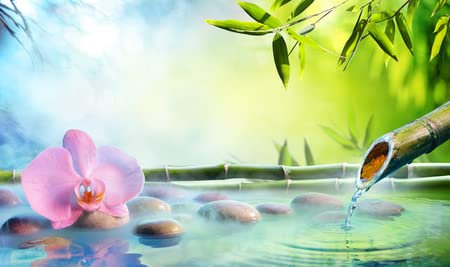 adrium Holz-Bild 140 x 80 cm: Zen-Garten - Orchidee im japanischen Brunnen mit Felsen und Bambus(104828181)