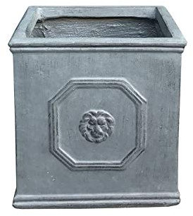 Kante - Fioriera quadrata in cemento con testa di leone, vaso in stile inglese, foro di drenaggio e tappo in gomma, per interni, esterni, giardino, patio, casa, 25,9 x 25,9 x 25,9 cm, grigio antico
