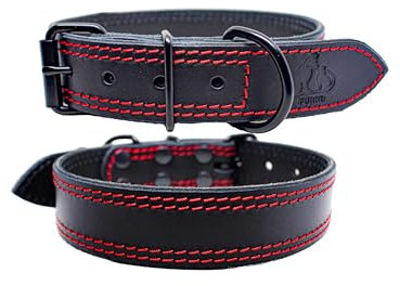 FURRO® Halsband aus Leder - Bold Classic, Breites Lederhalsband, Roten Doppelnähten, Hochwertiges Echtleder, Für Kleine, Mittlere und Große Hunde (Halsumfang 41–51 cm)