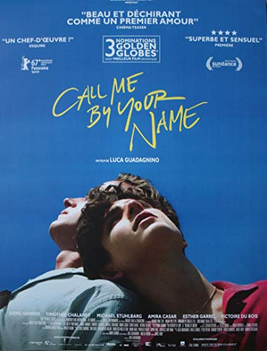 Call me by your name Kino-Poster, Original, kleines Format (53 x 40 cm, gerollt) Luca Guadagnino