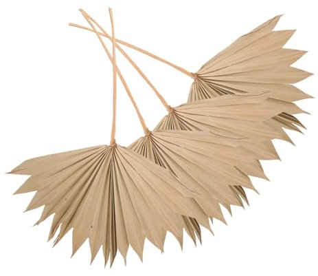 4 Pezzi Decorazioni Foglie Palma Secche Naturali per Matrimonio Foglie Dried per Compleanni e Feste Boho